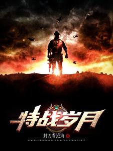 特战片连续剧